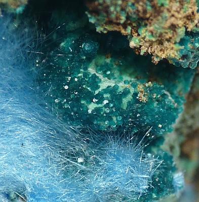 Spangolite & Cyanotrichite