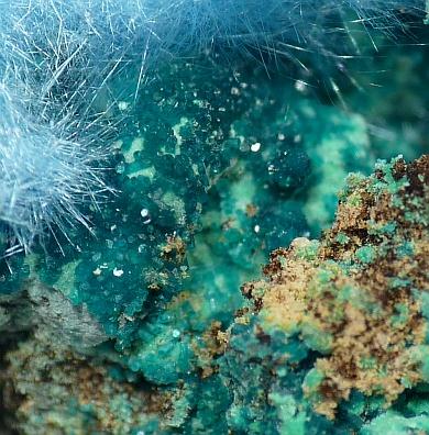 Spangolite & Cyanotrichite