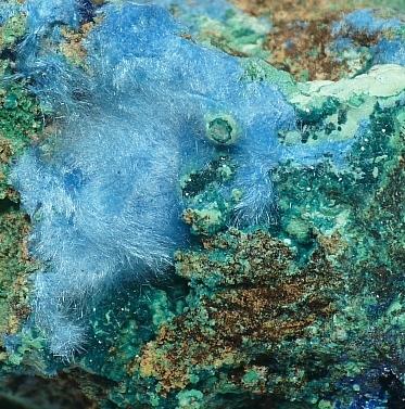 Spangolite & Cyanotrichite