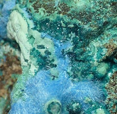 Spangolite & Cyanotrichite
