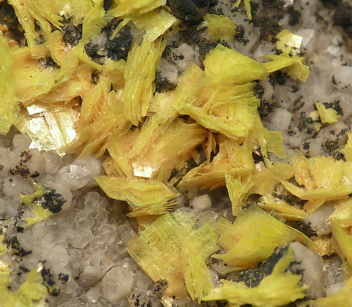 Uranocircite