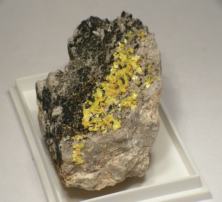 Uranocircite
