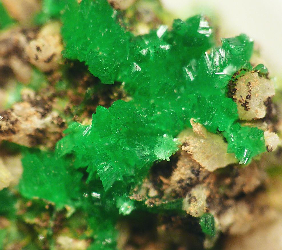 Annabergite