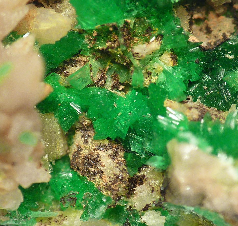 Annabergite