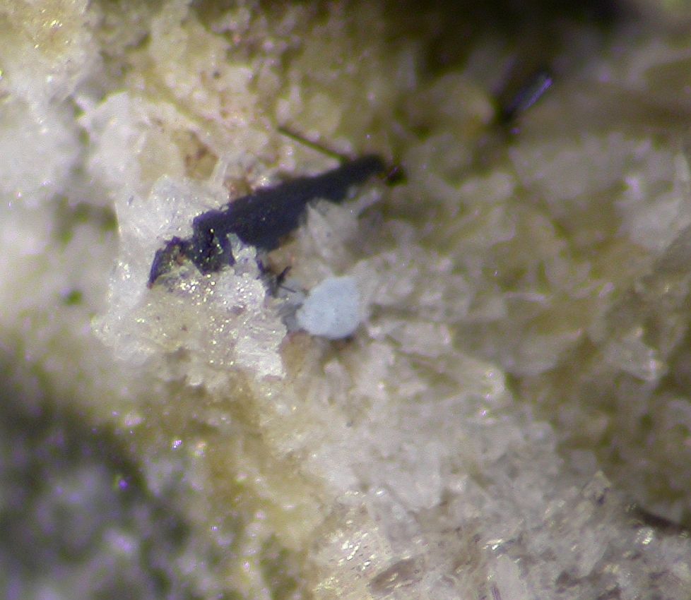 Jeremejevite
