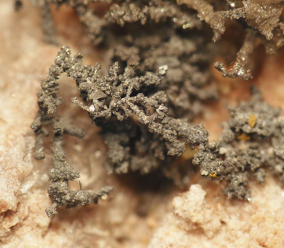 Kongsbergite & Chlorargyrite