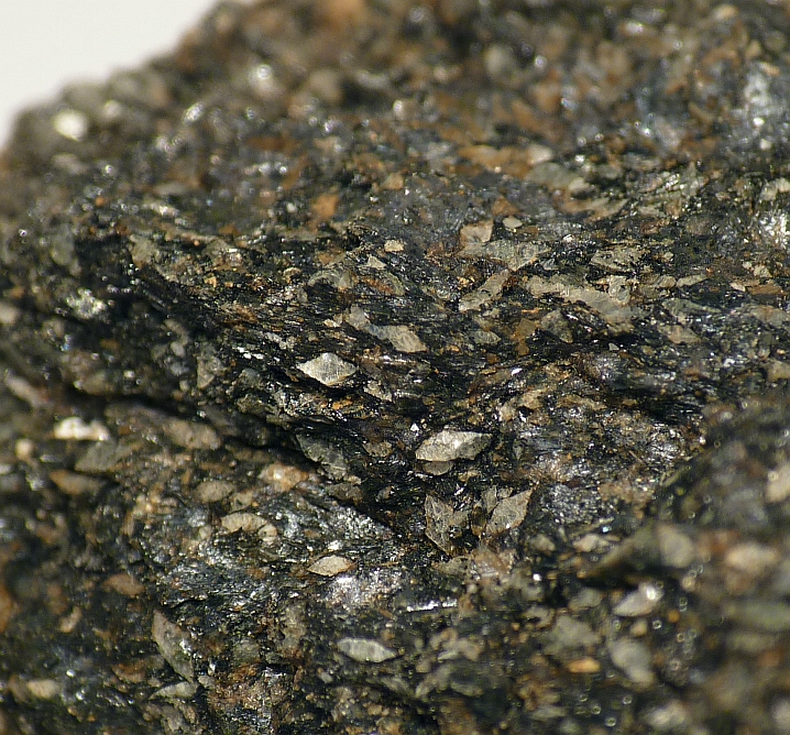 Naujakasite