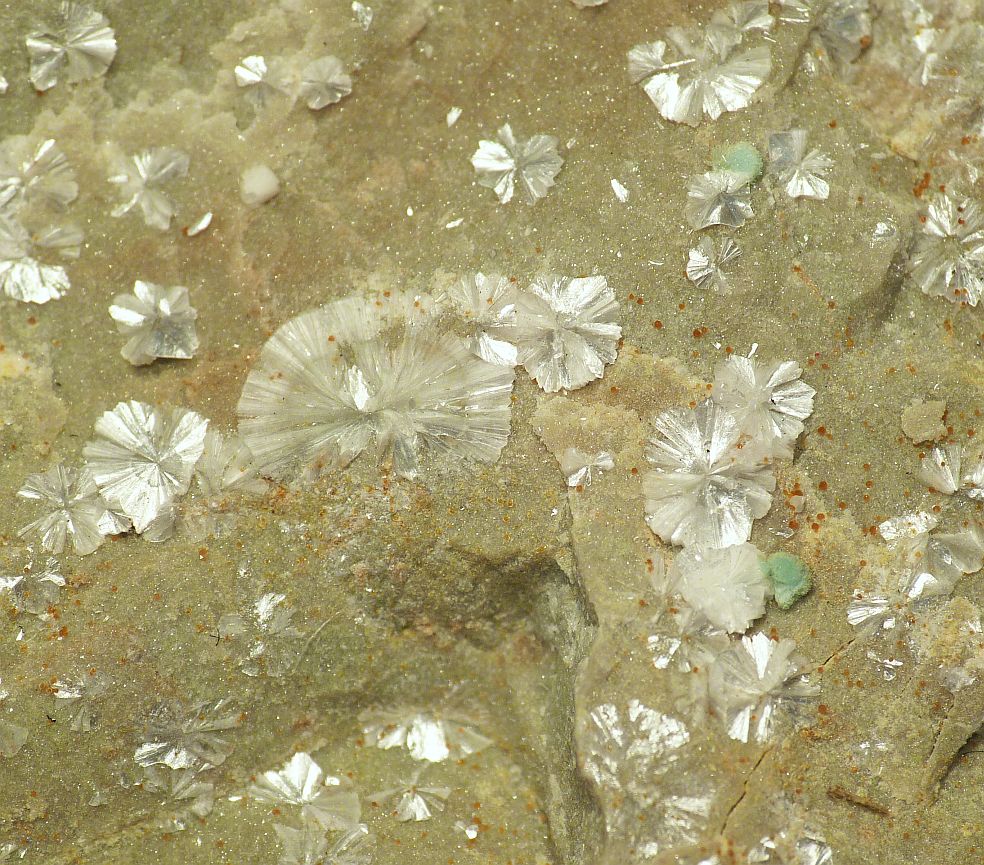 Vantasselite