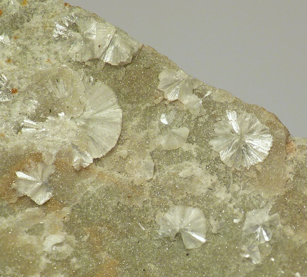 Vantasselite