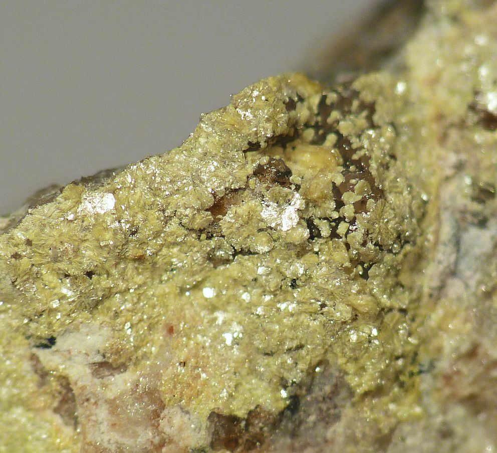 Beyerite