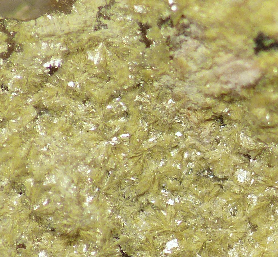 Beyerite
