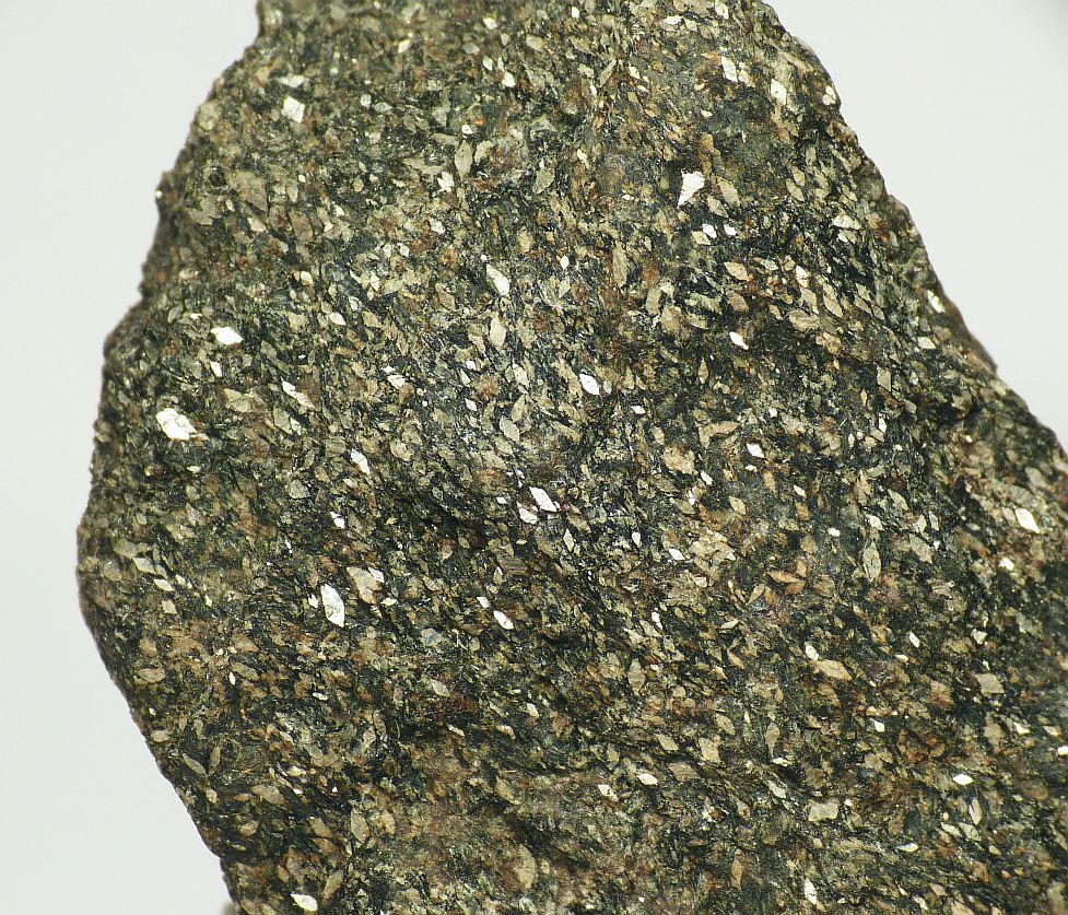 Naujakasite