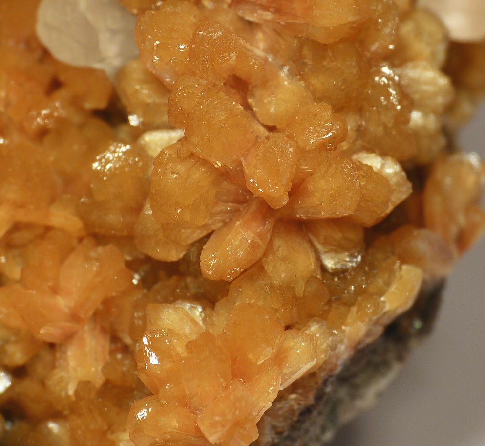 Stilbite