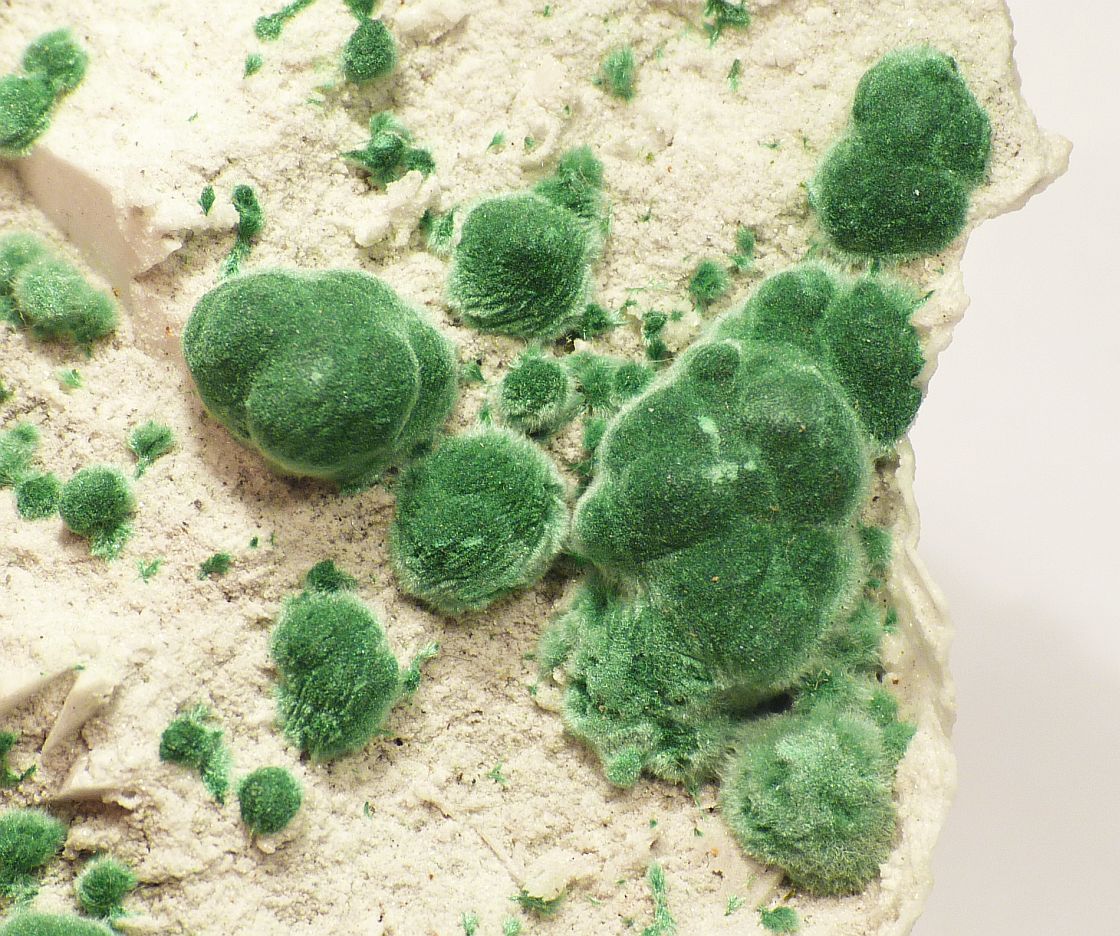 Smithsonite Shell & Malachite