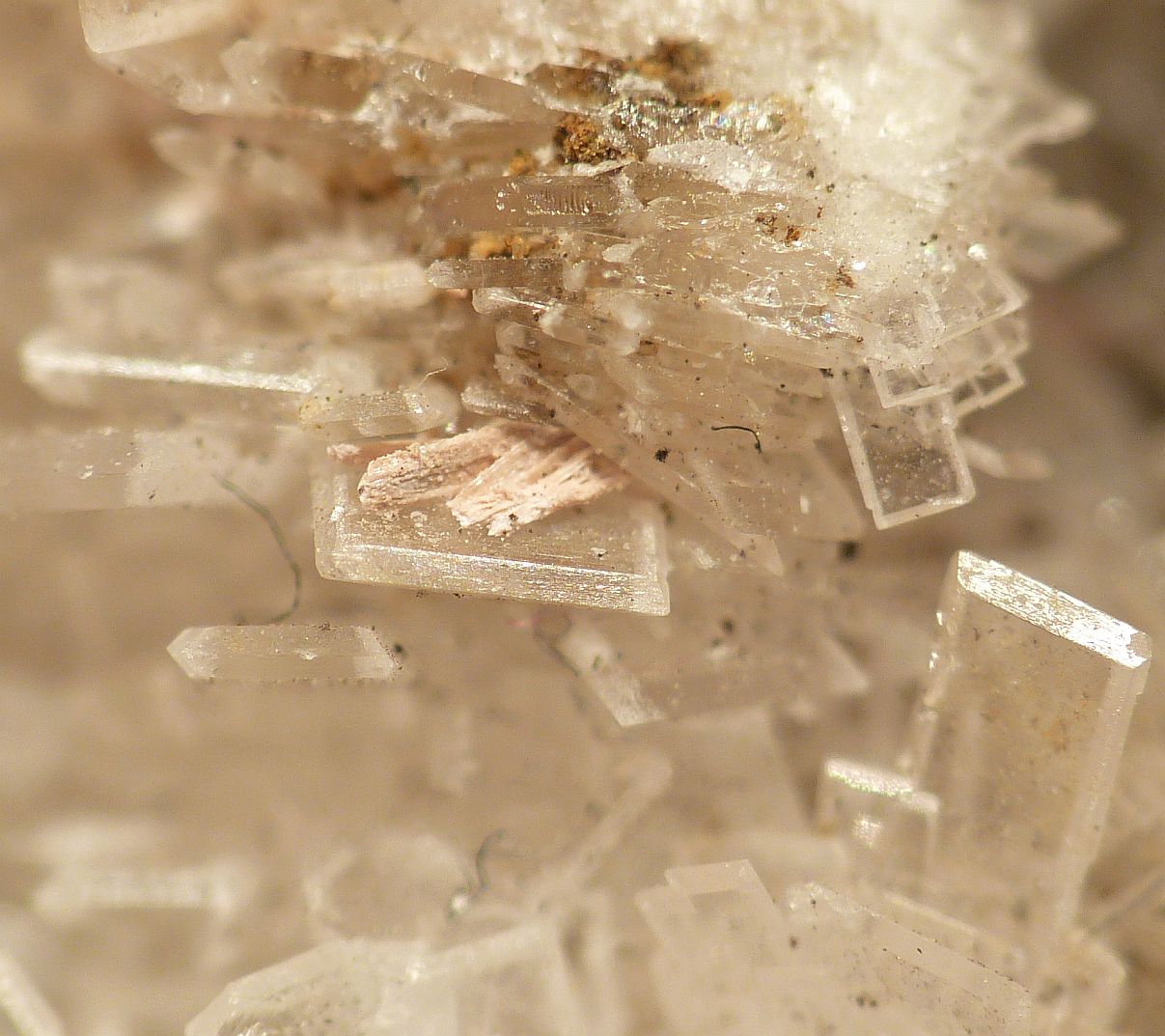 Fluorcalcioroméite