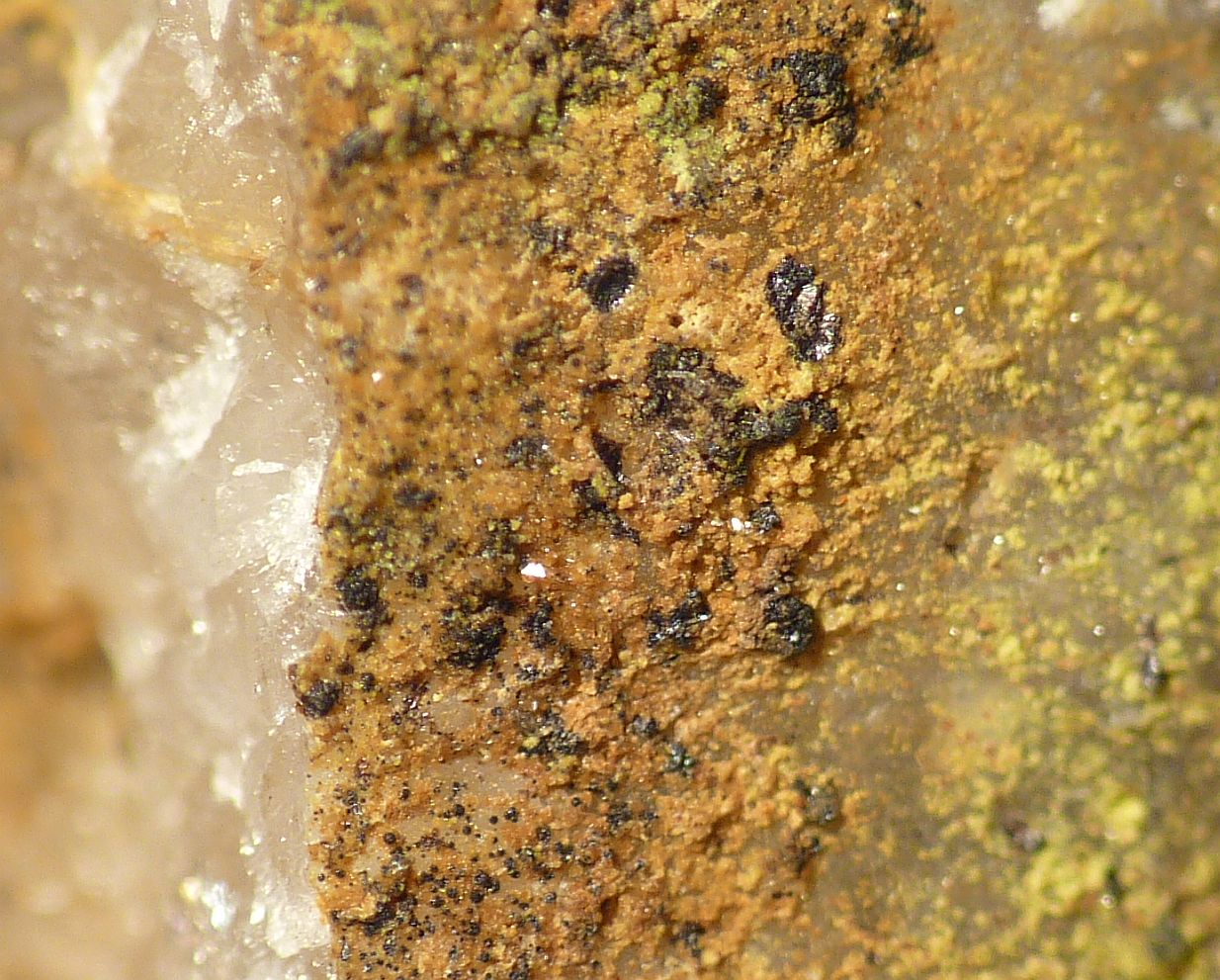 Brendelite