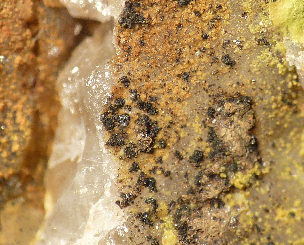 Brendelite