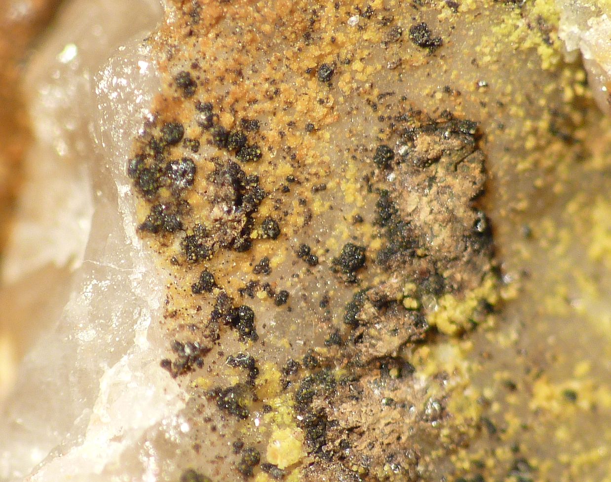 Brendelite