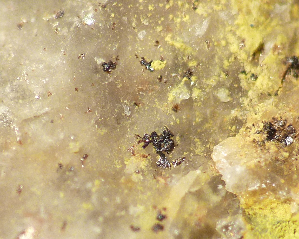 Brendelite
