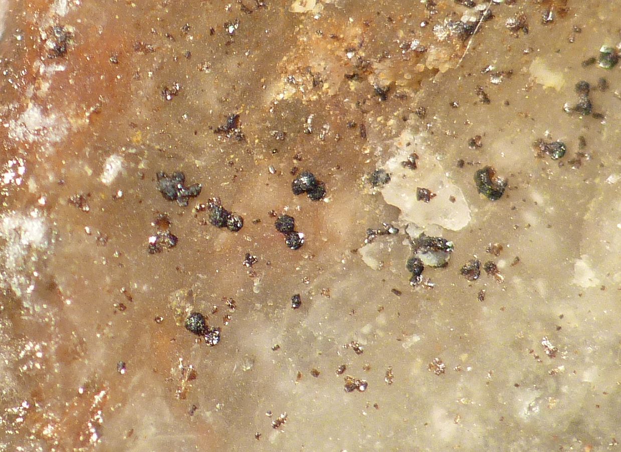 Brendelite