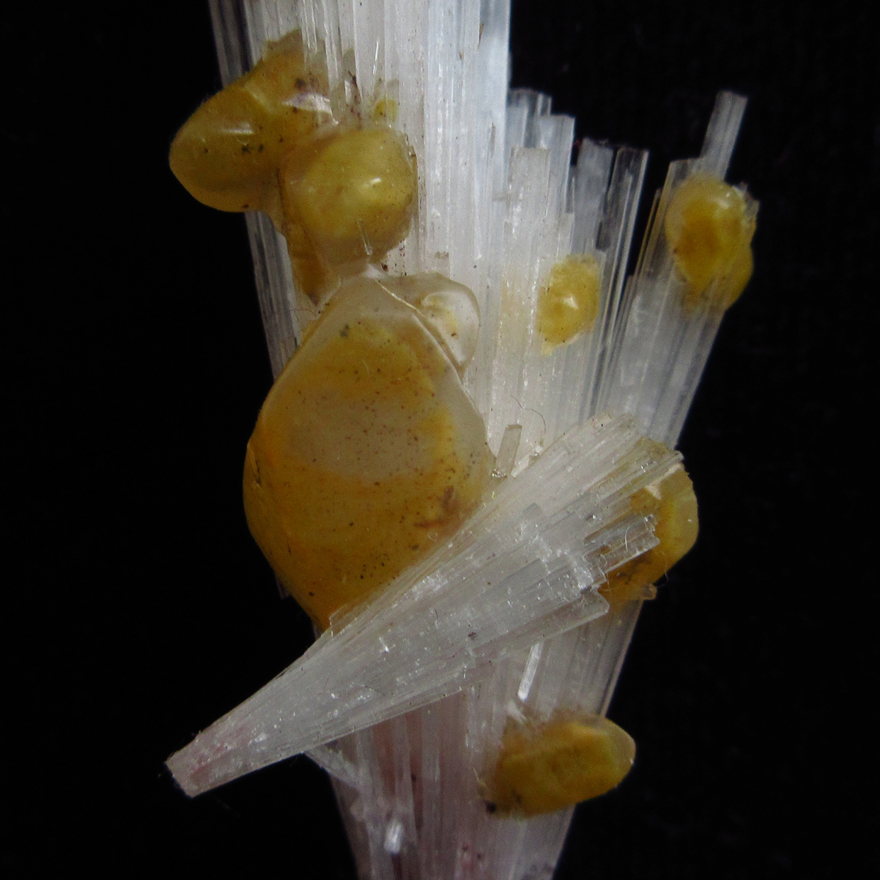 Scolecite & Calcite