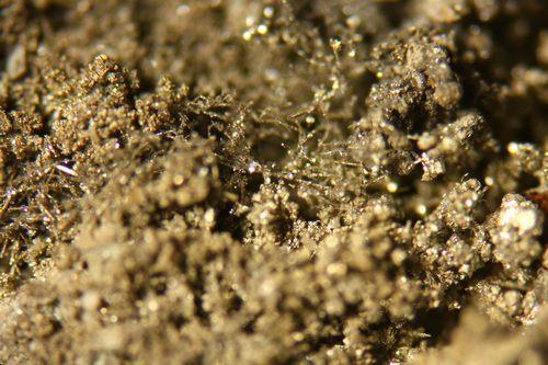Kongsbergite & Chlorargyrite