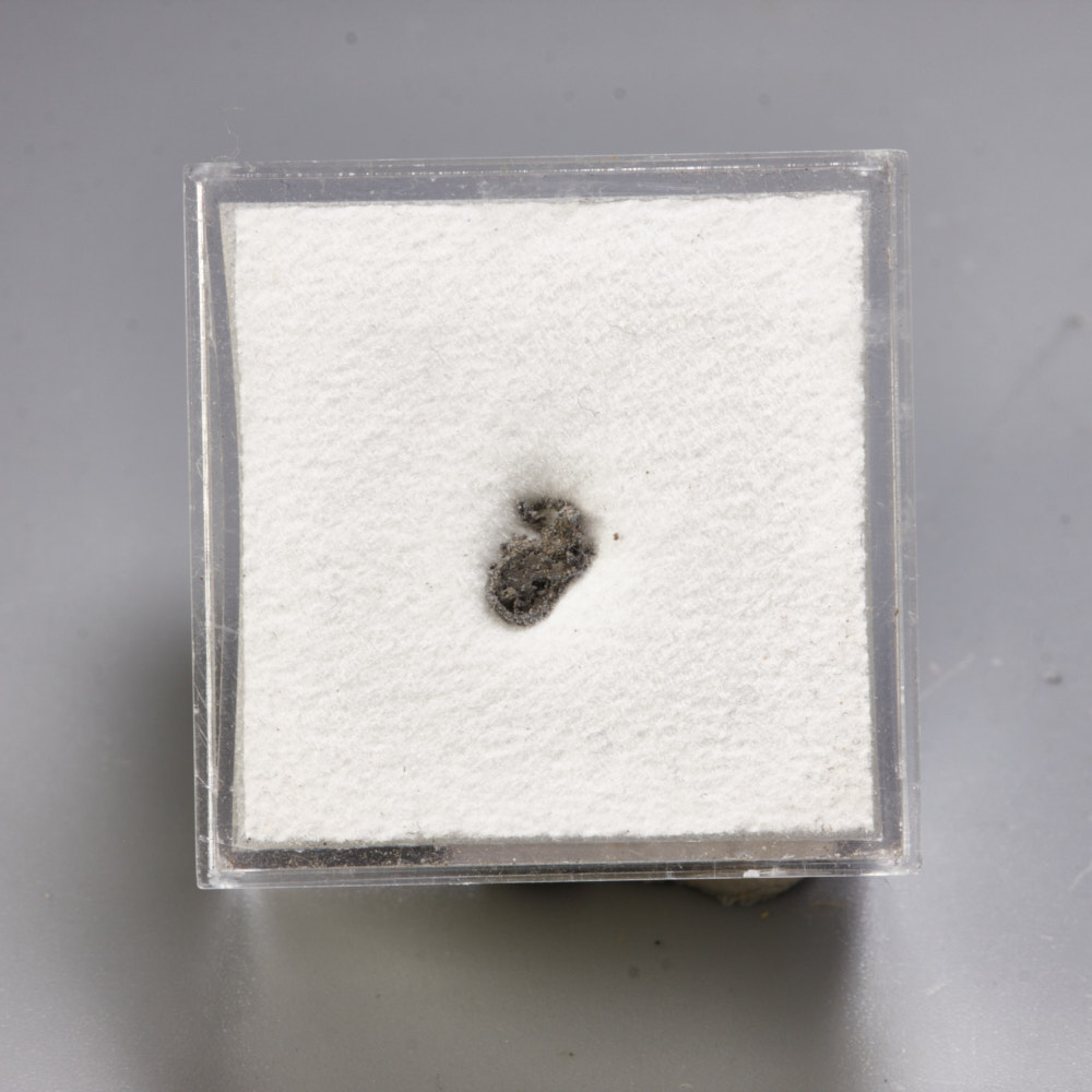 Native Lead Psm Fossil