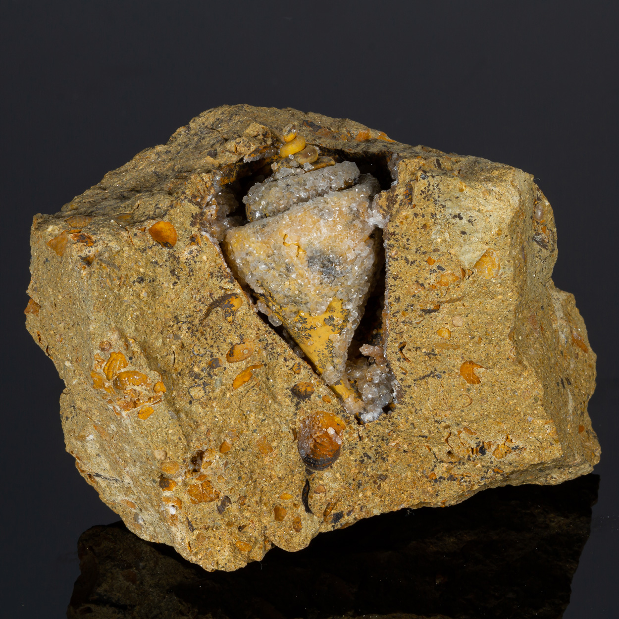 Calcite & Fossil