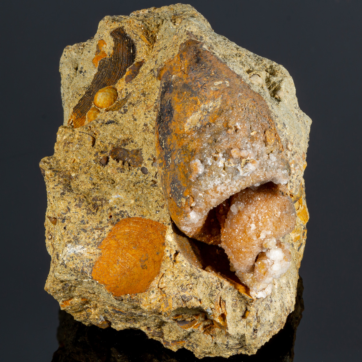 Calcite & Fossil