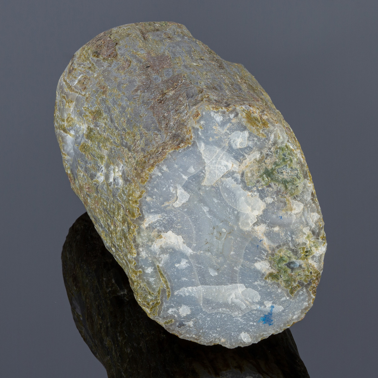 Fossil Chalcedony