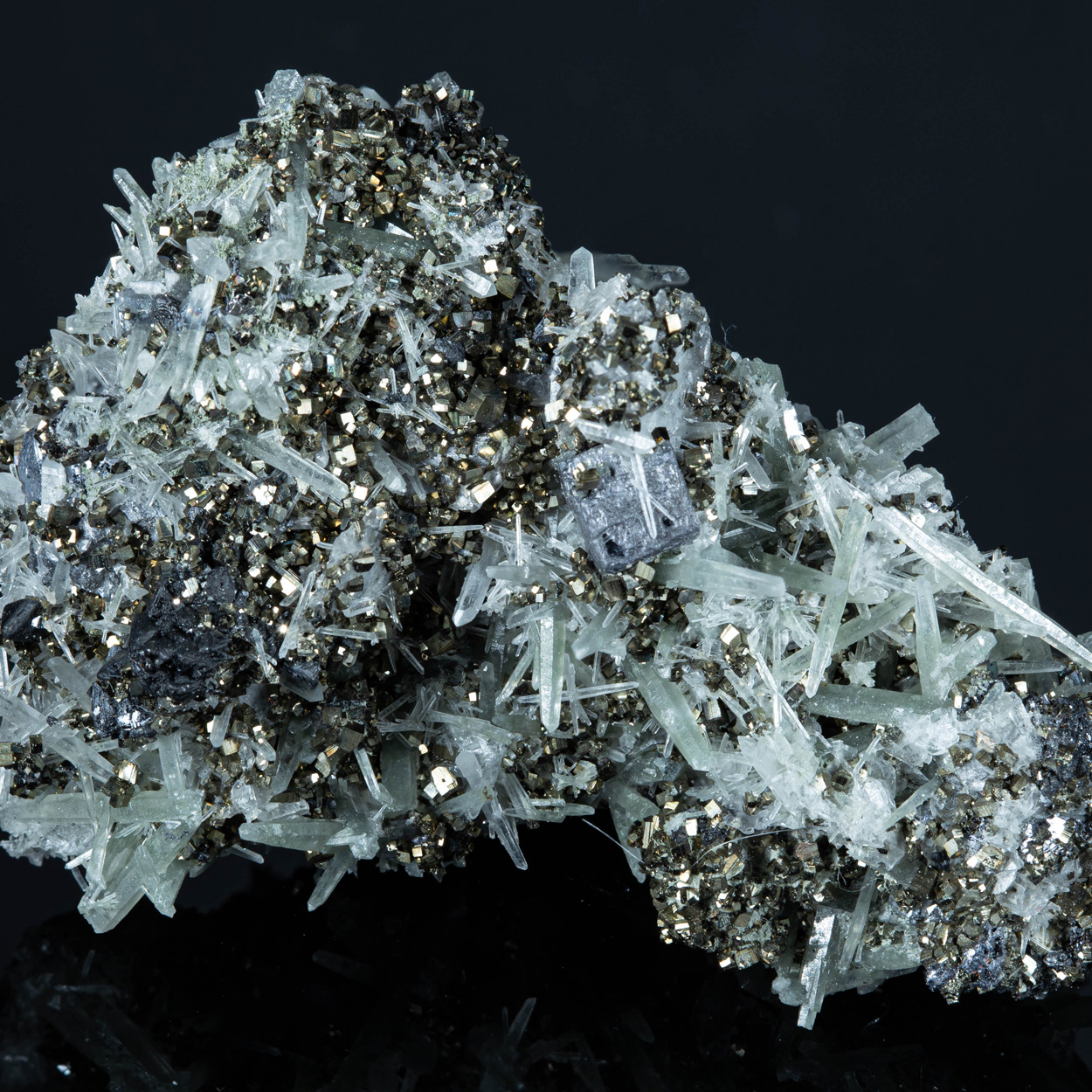 Pyrite & Quartz
