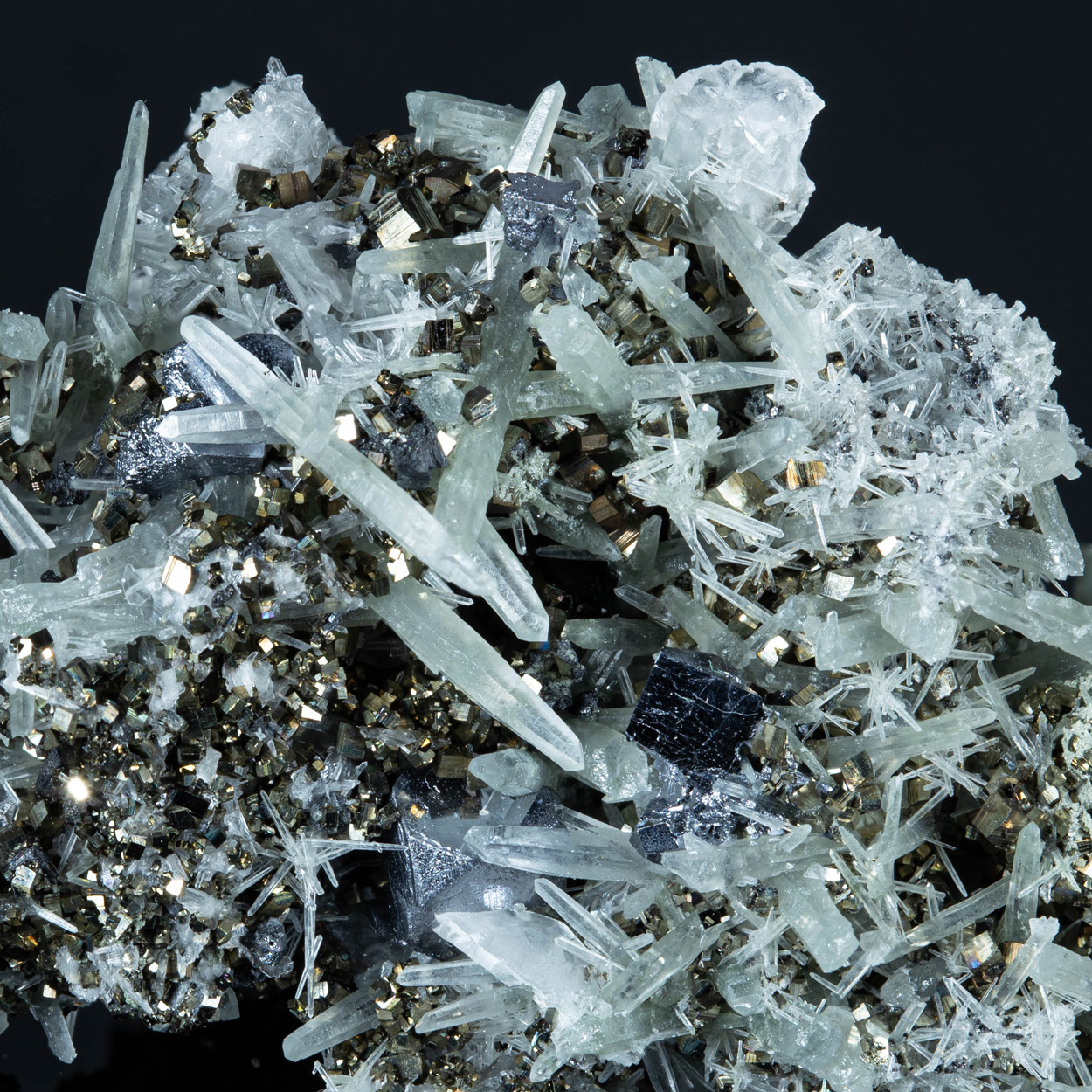 Pyrite & Quartz