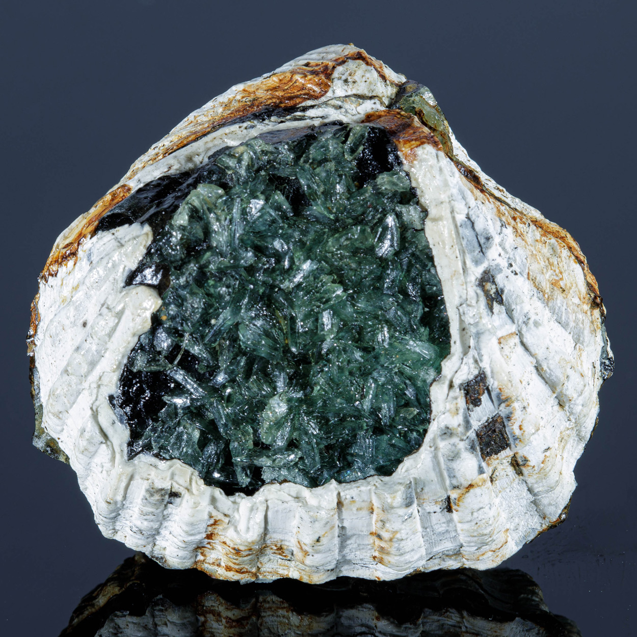 Anapaite & Fossil