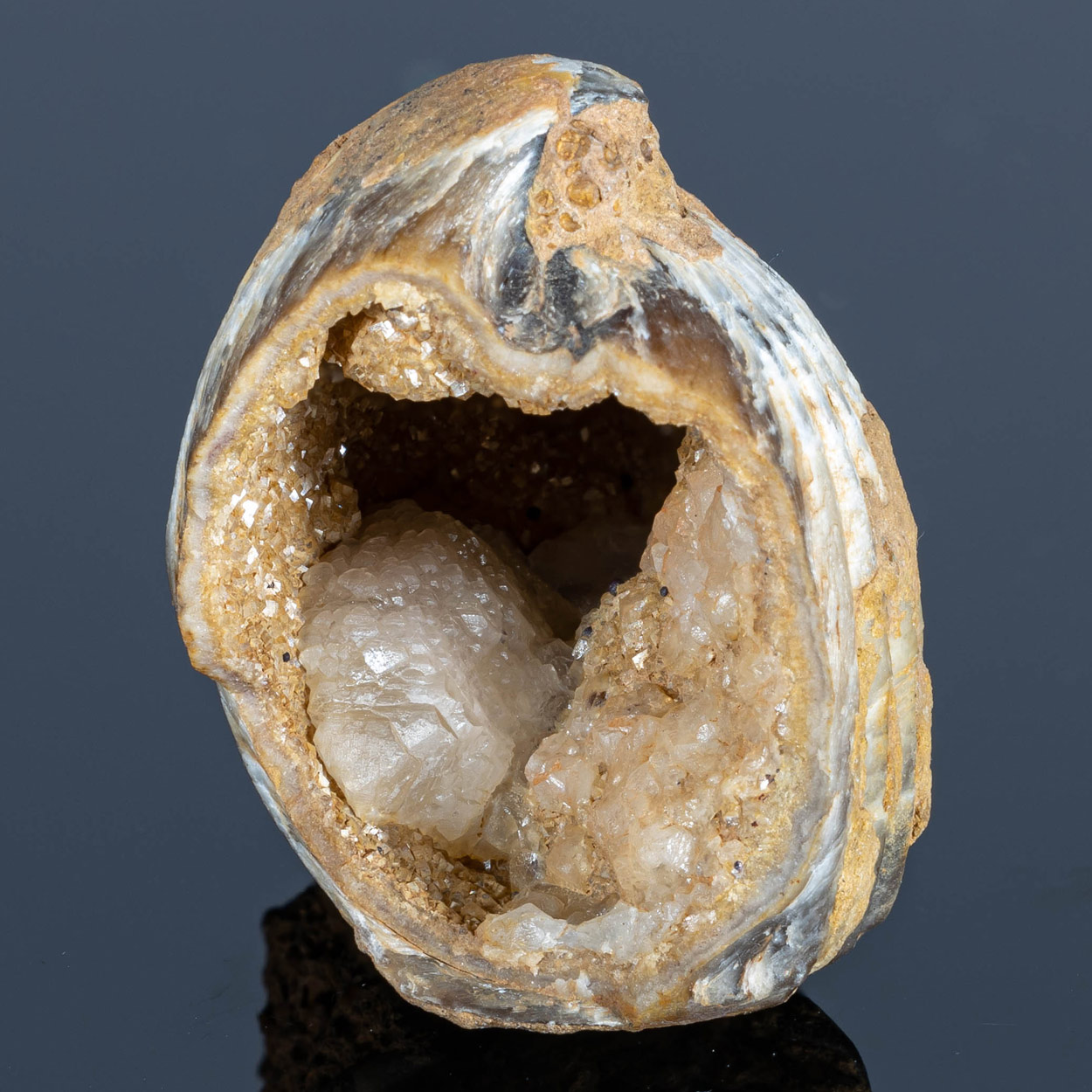 Calcite Goethite & Fossil