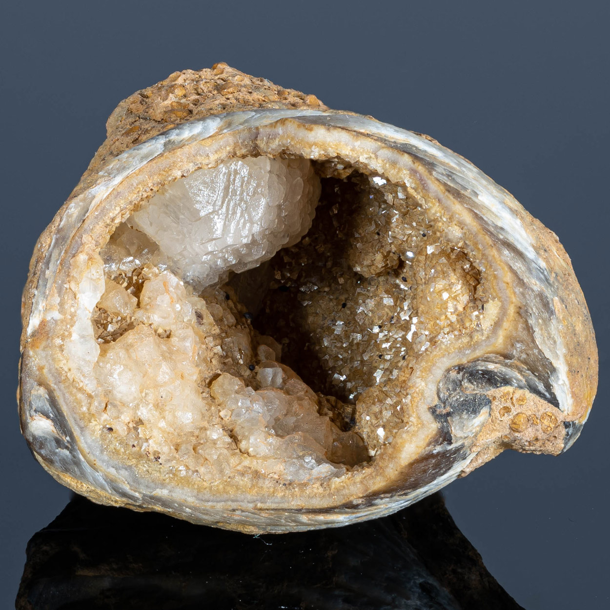 Calcite Goethite & Fossil