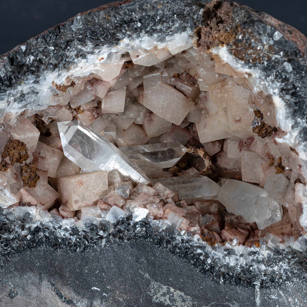 Fossil Crinoid Quartz Calcite & Siderite