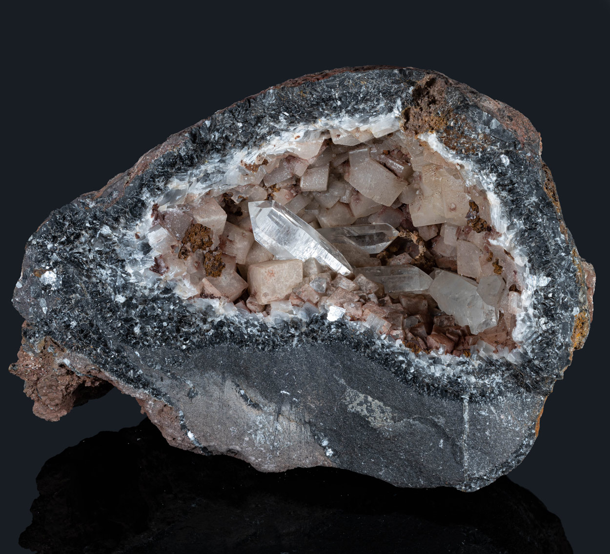 Fossil Crinoid Quartz Calcite & Siderite