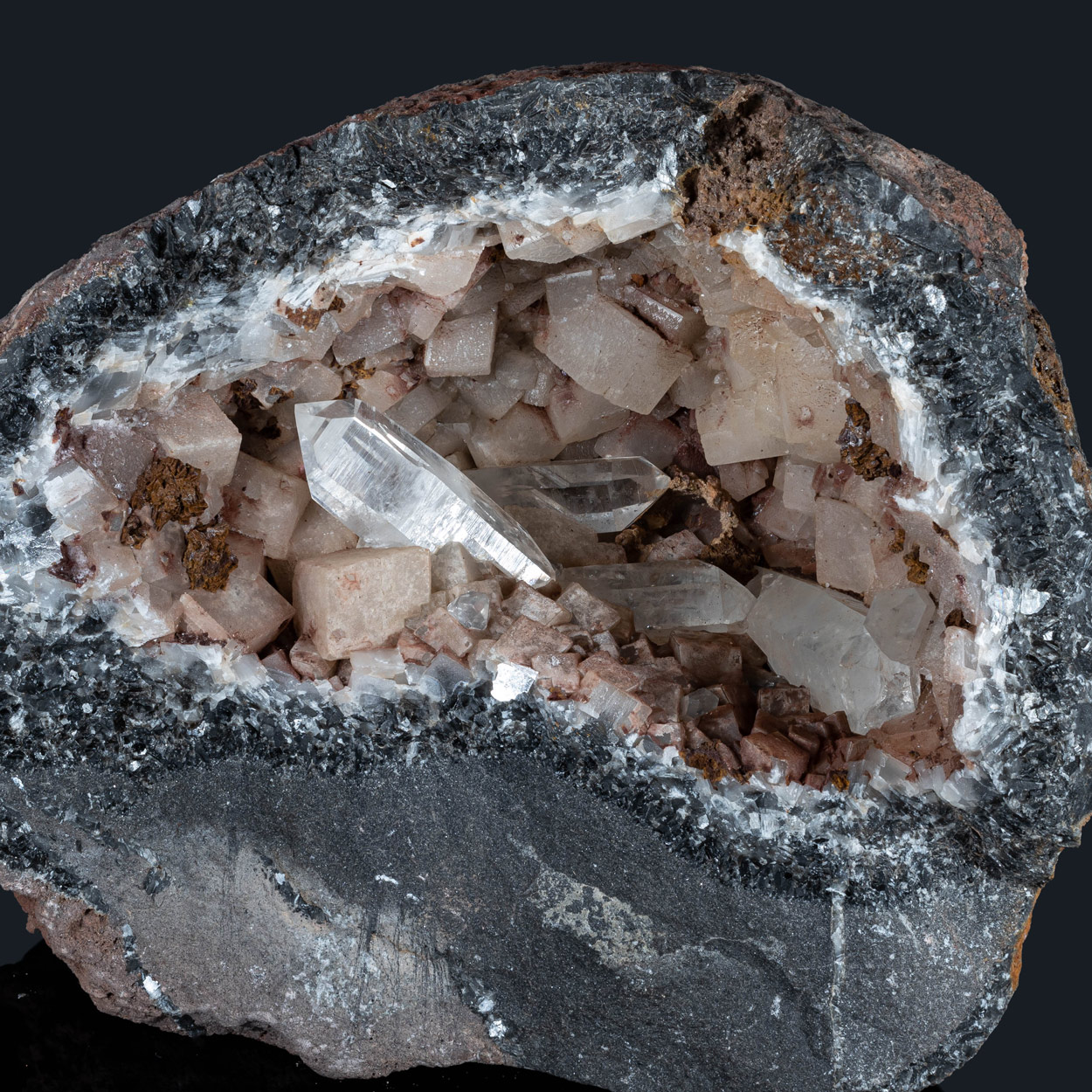 Fossil Crinoid Quartz Calcite & Siderite