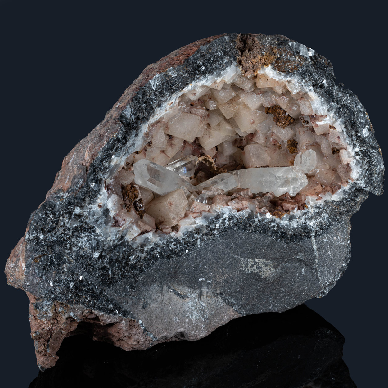 Fossil Crinoid Quartz Calcite & Siderite