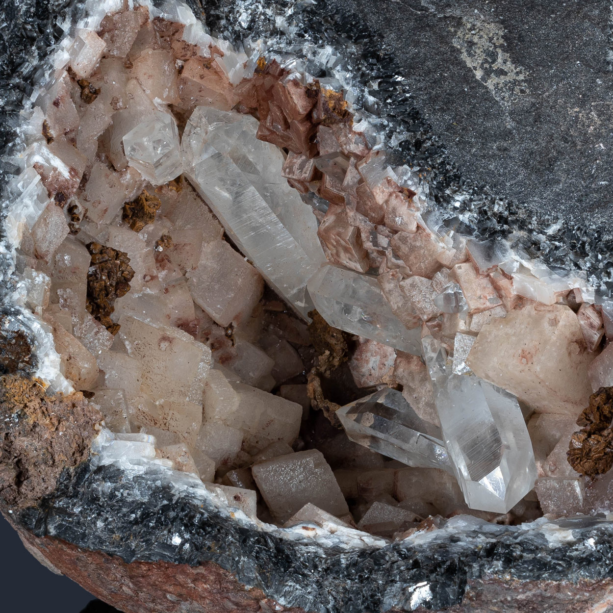 Fossil Crinoid Quartz Calcite & Siderite