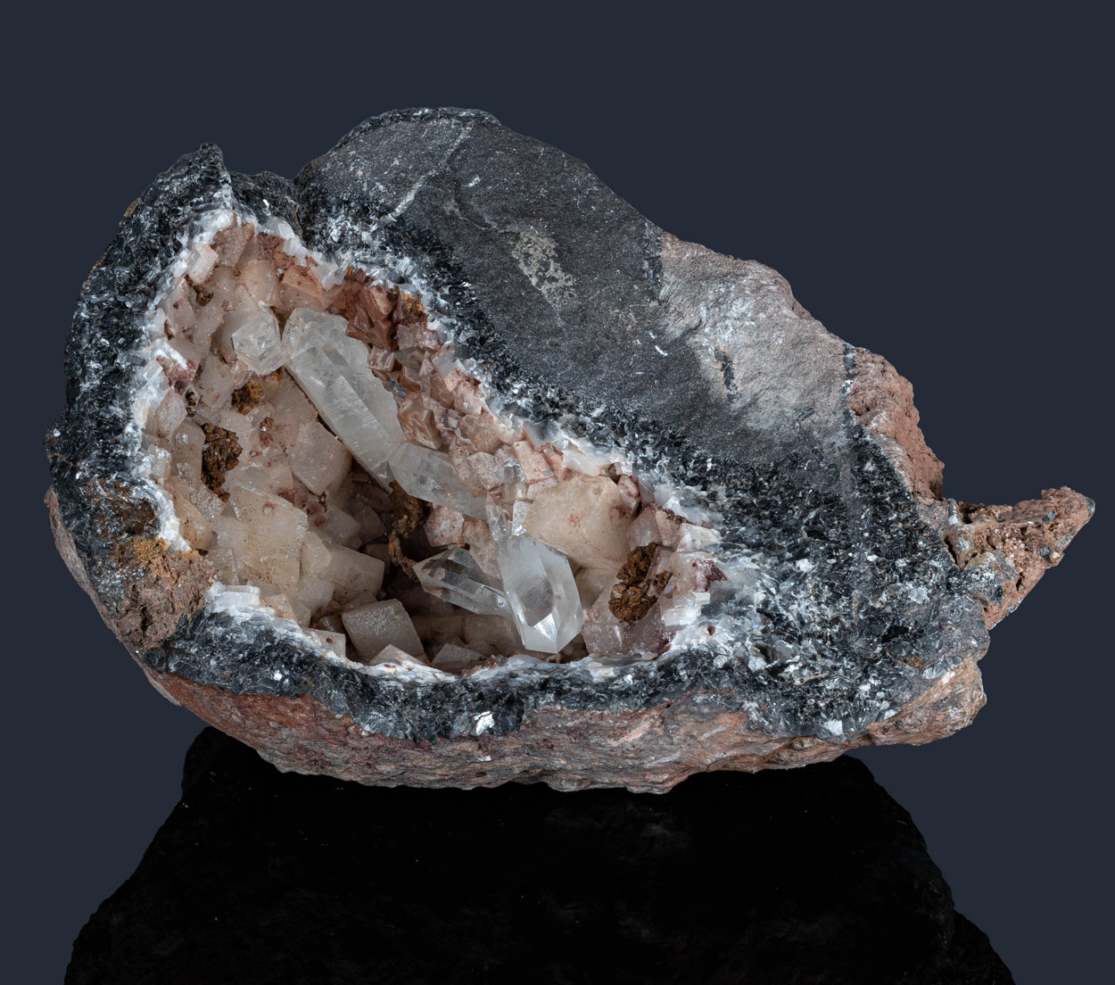 Fossil Crinoid Quartz Calcite & Siderite