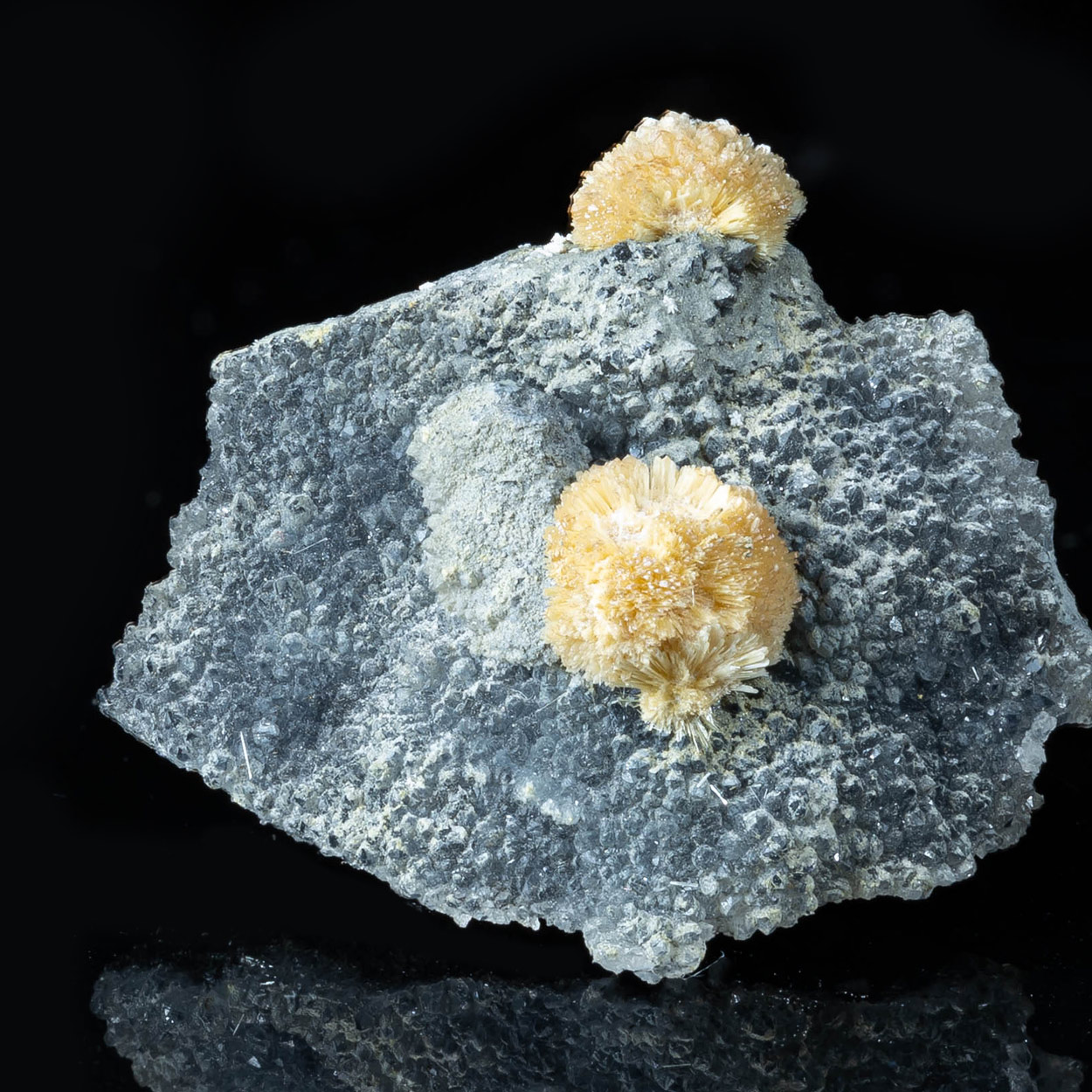 Valentinite