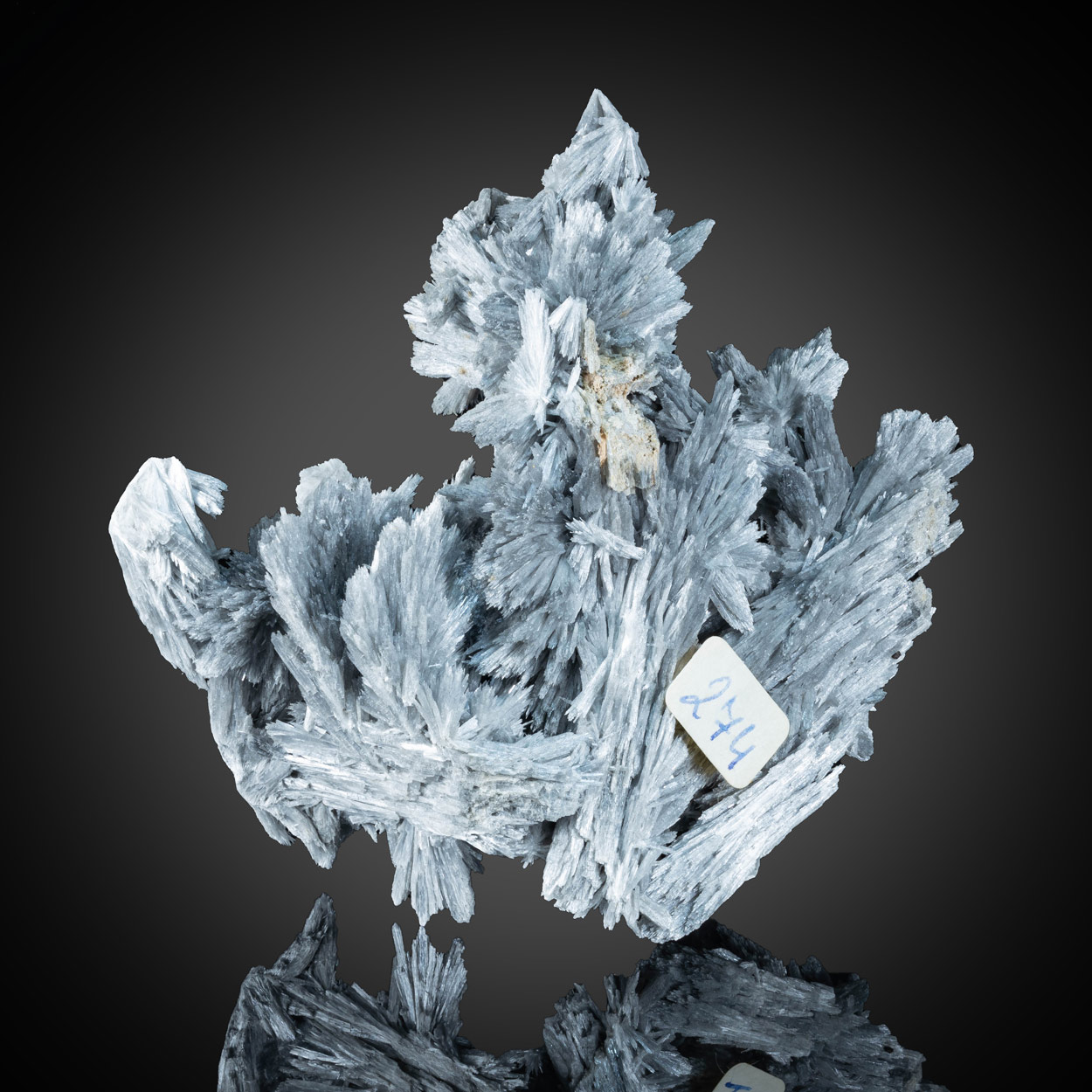 Tremolite