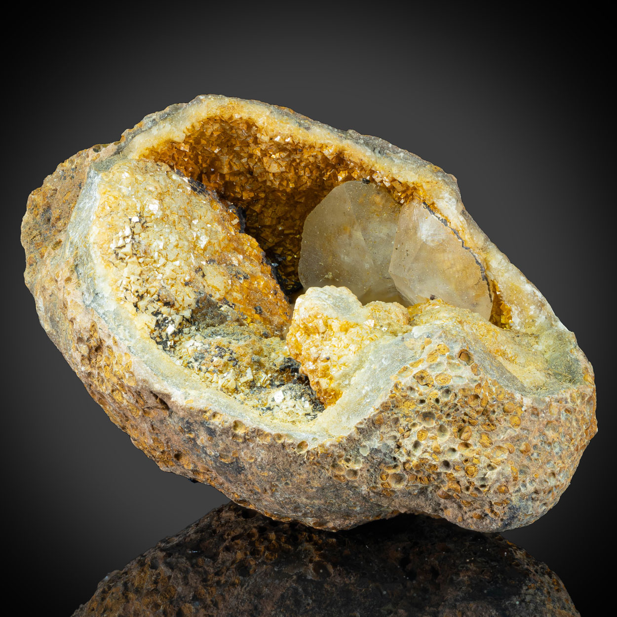 Calcite & Fossil