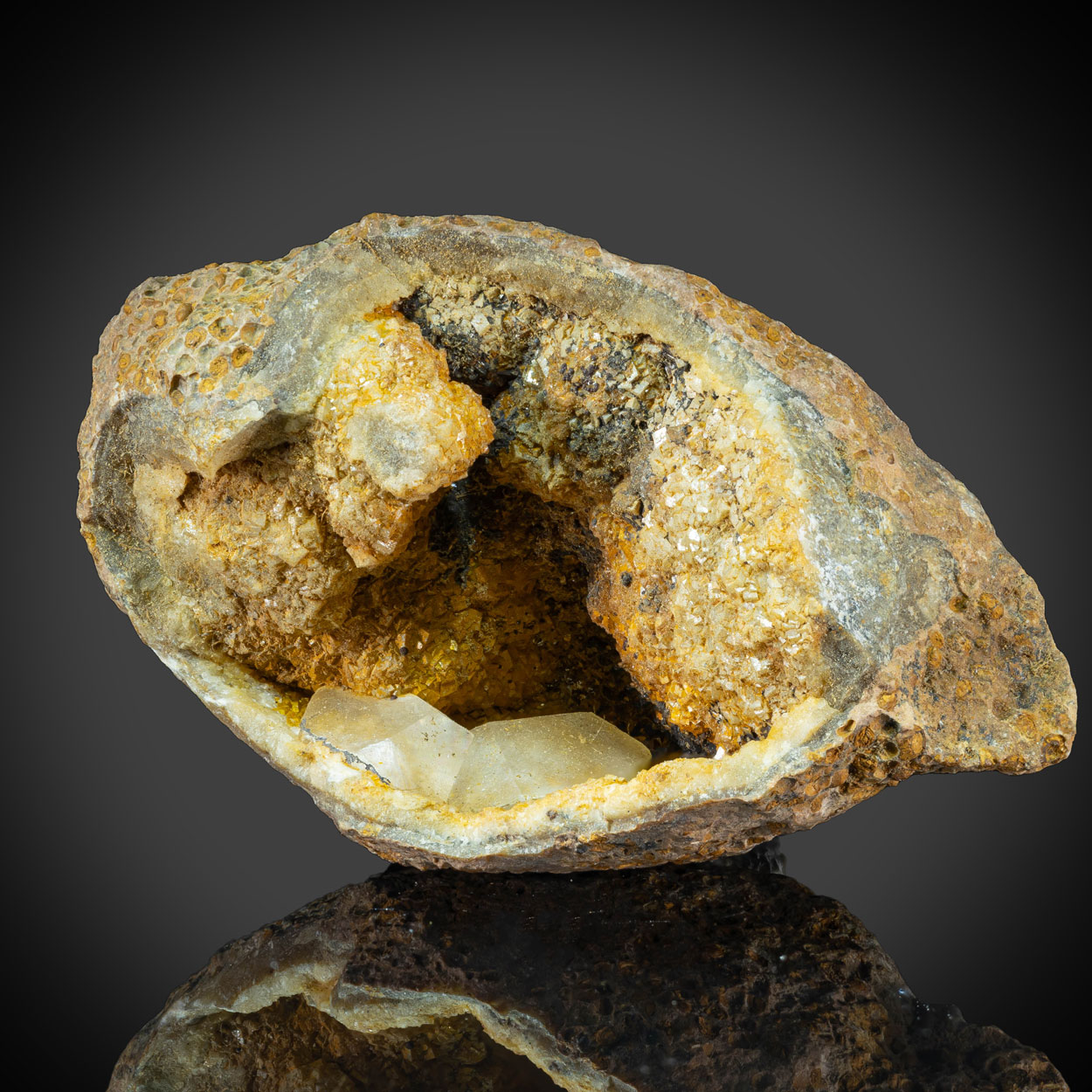 Calcite & Fossil