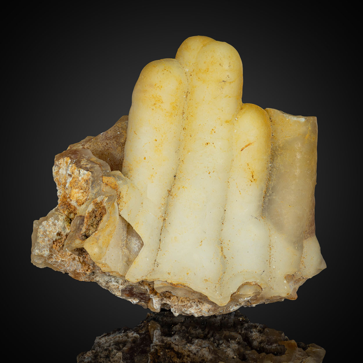Fossil