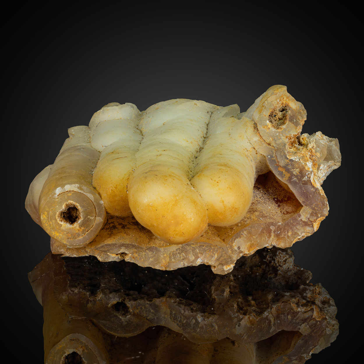 Fossil