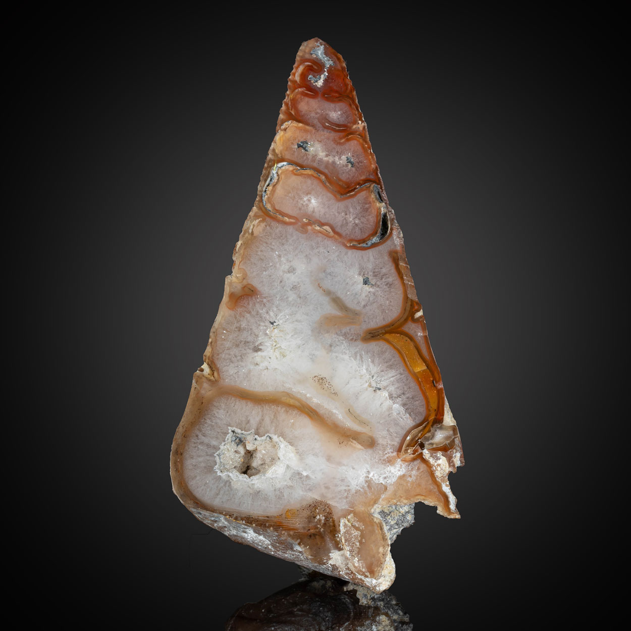 Agate & Fossil