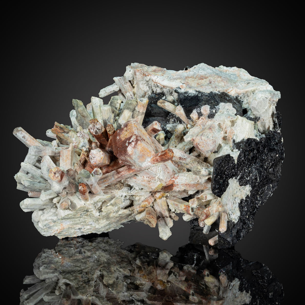 Schorlomite With Nepheline