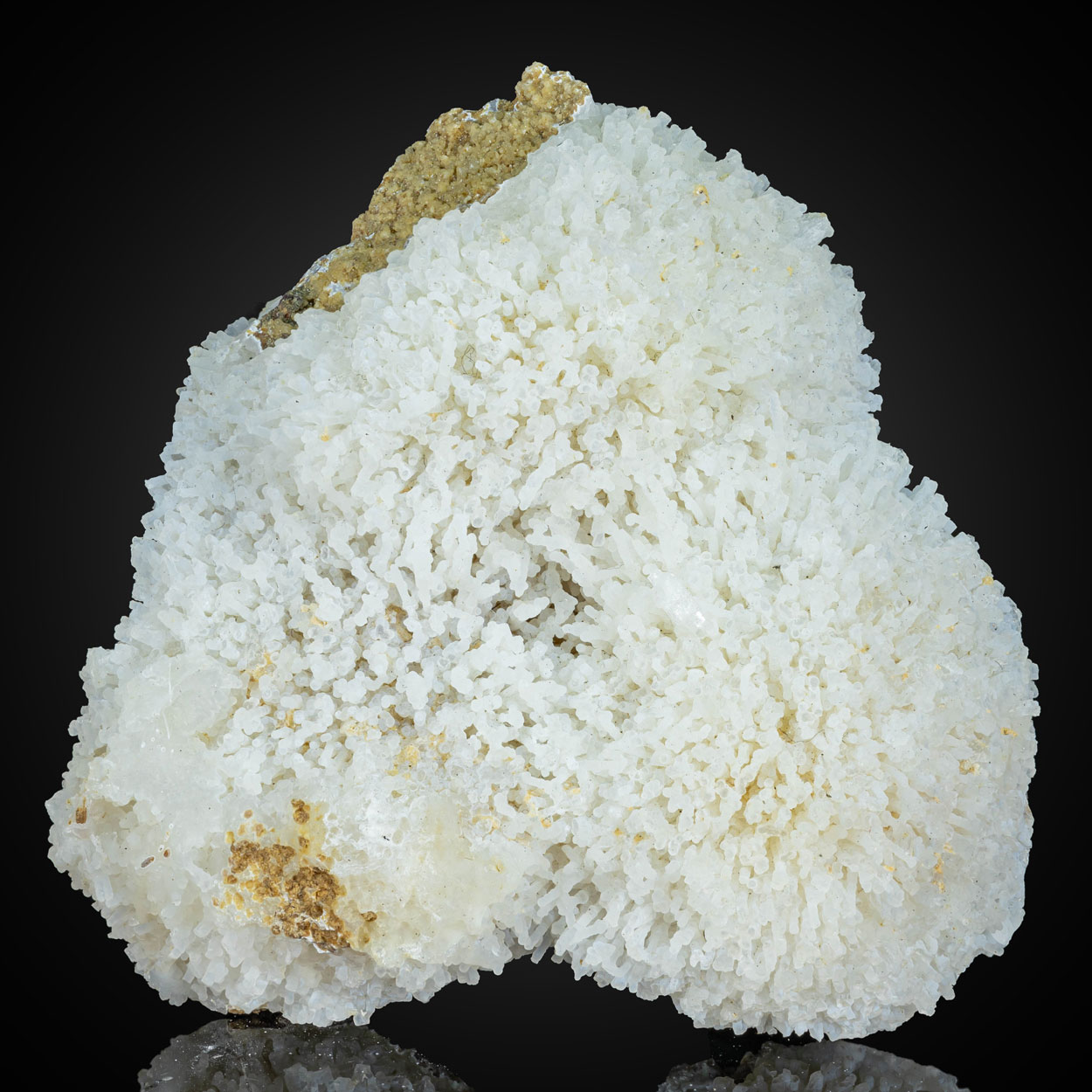Chalcedony Psm Mordenite